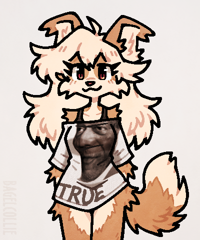 Image attached toot
